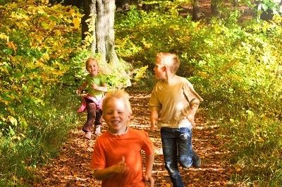 Drei Kinder rennen auf einem Waldweg um die Wette