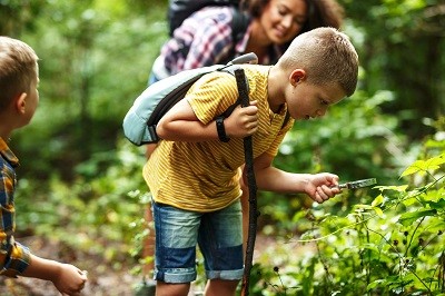 Junge mit Wanderstock steht auf einem Waldweg und betrachtet eine Pflanze durch eine Lupe