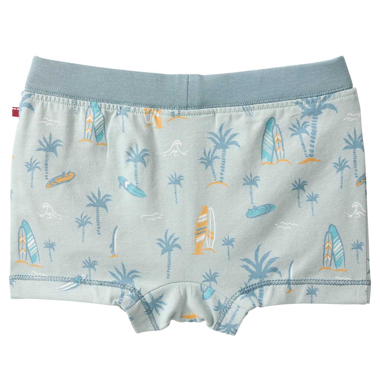 Boxershorts Surfboards salbeigrün