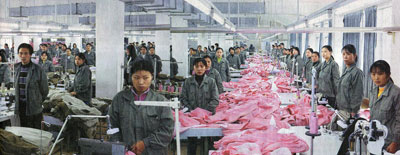 Arbeiterinnen in einer Fabrik