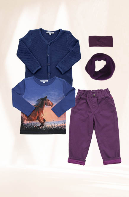 Langarmshirt großer Pferde-Druck blau