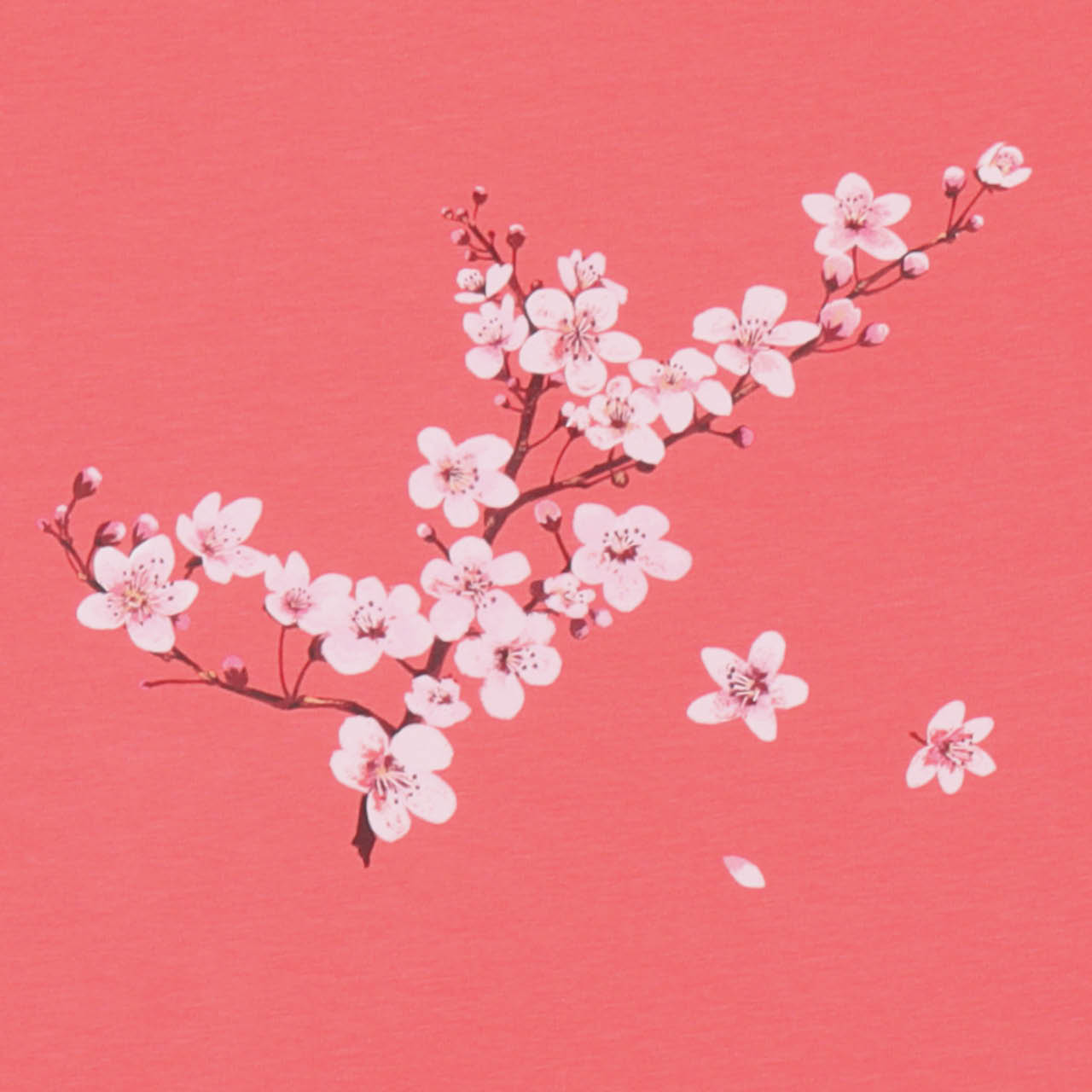 Shirt kurzarm Blumen pink