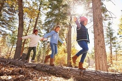 Drei Kinder balancieren über einen im Wald auf dem Boden liegenden Baumstamm.