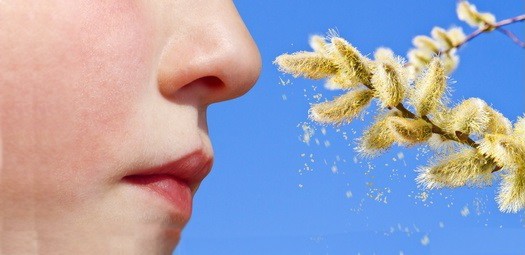 Kinder Allergie und die Symptome