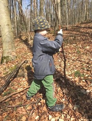 Junge im Wald auf der Suche nach passenden Stöcken