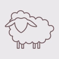 Icon Schaf