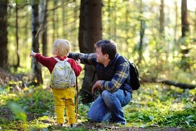 Vater ist mit seinem kleinen Kind im Wald unterwegs und zeigt ihm etwas.