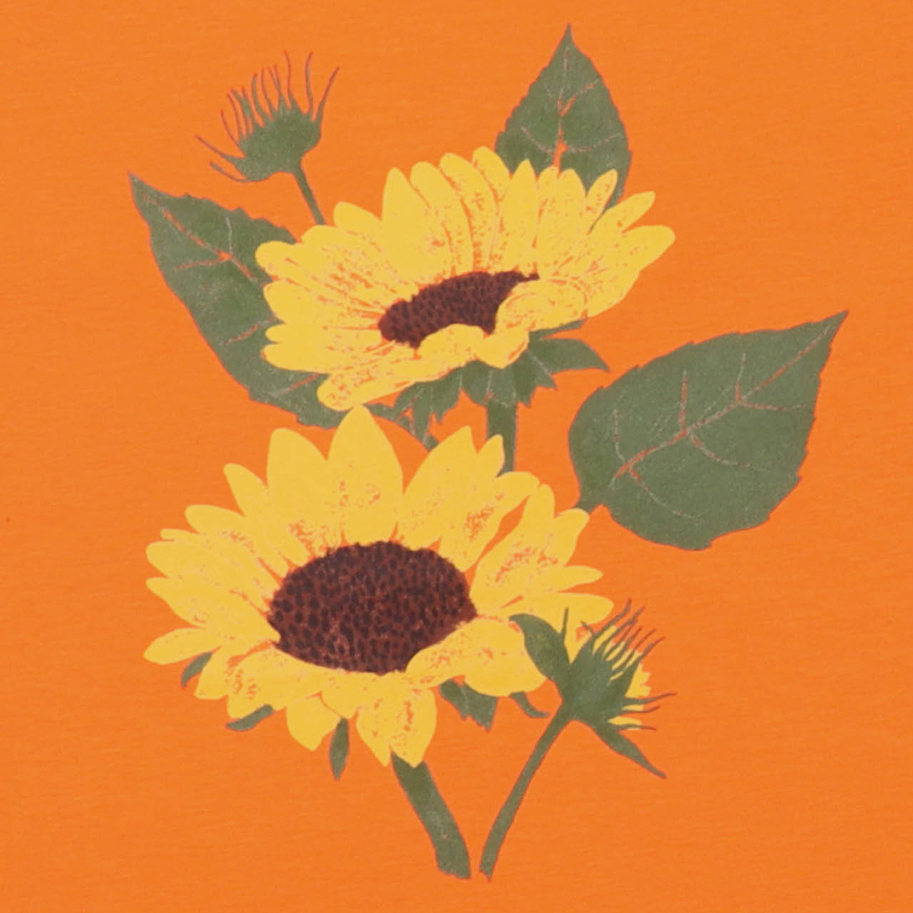 Sonnenblume Shirt kurzarm orange